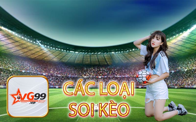 CÁC LOẠI SOI KÈO C1 