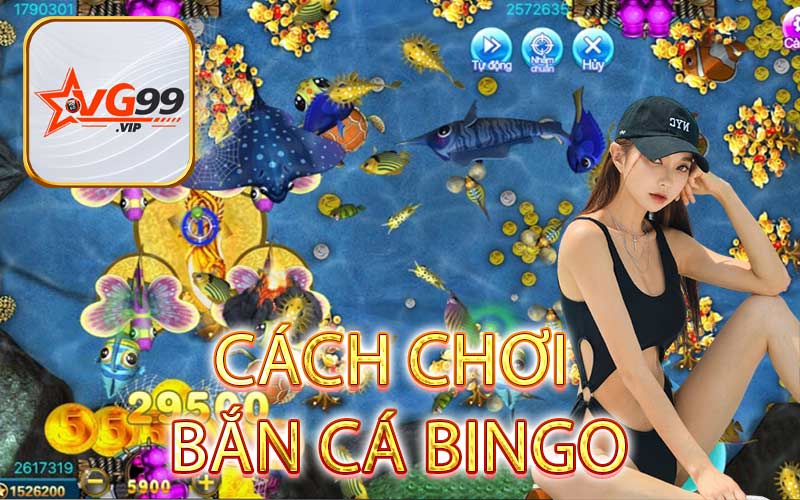 CÁCH CHƠI BẮN CÁ BINGO